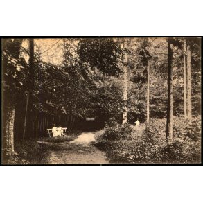 Lohals - C. Jenssen- Tuch  Eneret 25120 - Ubrugt