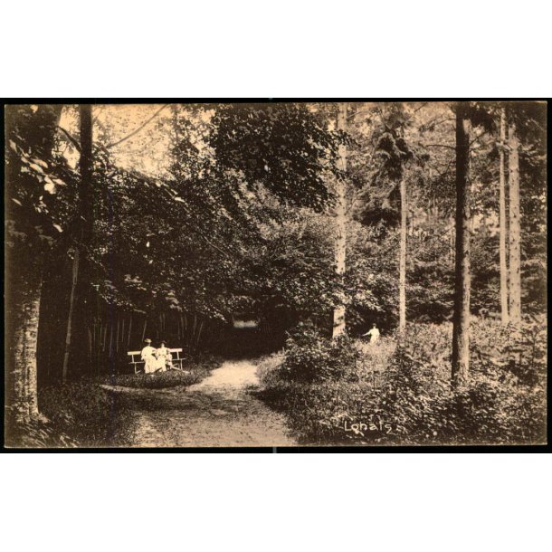 Lohals - C. Jenssen- Tuch  Eneret 25120 - Ubrugt