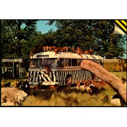 Knuthenborg Safari Park - Top Card KN 5- Ubrugt