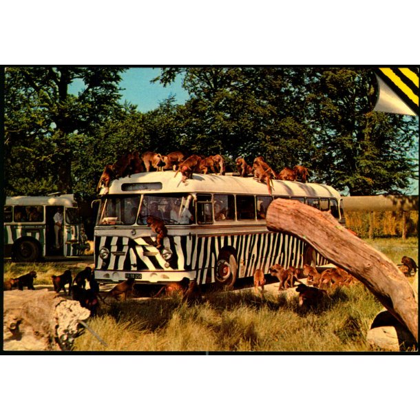 Knuthenborg Safari Park - Top Card KN 5- Ubrugt