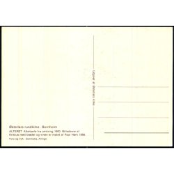 Bornholm - sterlars Rundkirke - Alteret - sterlars kirke u/n - Ubrugt