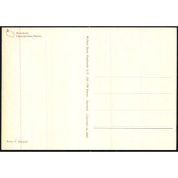 Bornholm - Hammershus Ruiner - W. Dams Bogh. 4040 - Ubrugt