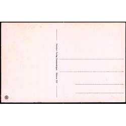 Odense - Albani Bro - Stender O. 333 - Ubrugt