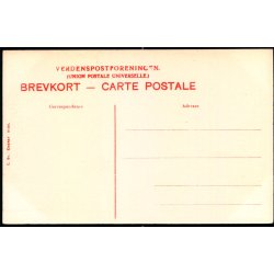 Odense - Fra L�seforeningens Have - C. St. 3102 - Ubrugt