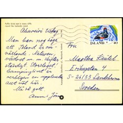 Puffin birds nest in many cliffs - S&oacute;larfilma 164 - Brugt