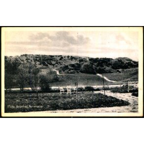 Mols - Brunh�j - Femm�ller - Ebeltoft Bogh. 65559 - Ubrugt