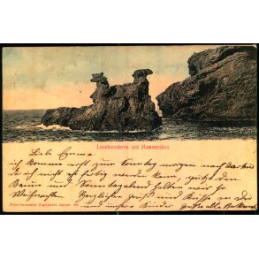 Lvehovederne ved Hammerershus - Frits Srensen 493 - Brugt