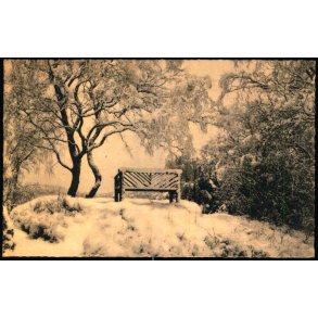 Bangsh�j - Tisvilde Hegn - S. Nielsen 51248 - Brugt