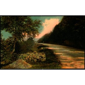 Nakskov - Parti fra Lienlund - u/n - Brugt