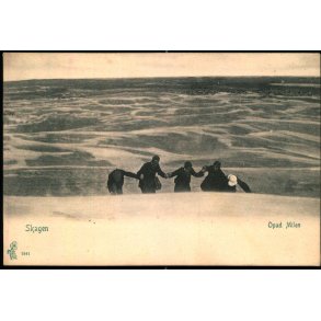 Skagen - Opad Milen - Peter Alstrup 1241 - Ubrugt