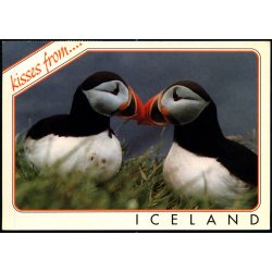 Kisses from Iceland - S&oacute;larfilma 260 - Brugt