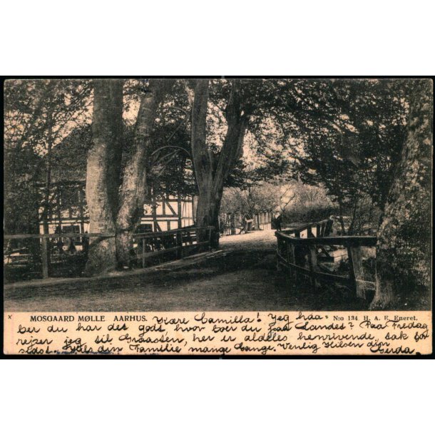 Moesgaard Mlle - Aarhus - H.A. E. 134 - Brugt