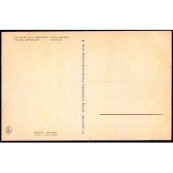 Kbenhavn - Zoologisk Have - Flamingodammen - K. Witt-Mller 6700 - 65