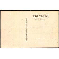 Stubbek�bing - Raadhuset - Niels Bruns Bog og Papirhandel Eneret u/n - Ubrugt