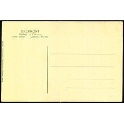 Skagen - Opad Milen - Peter Alstrup 1241 - Ubrugt