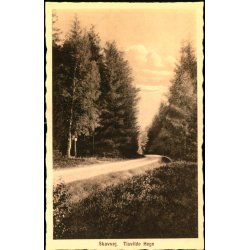 Skovvej - Tisvilde Hegn - S. Nielsen 47181 - Ubrugt