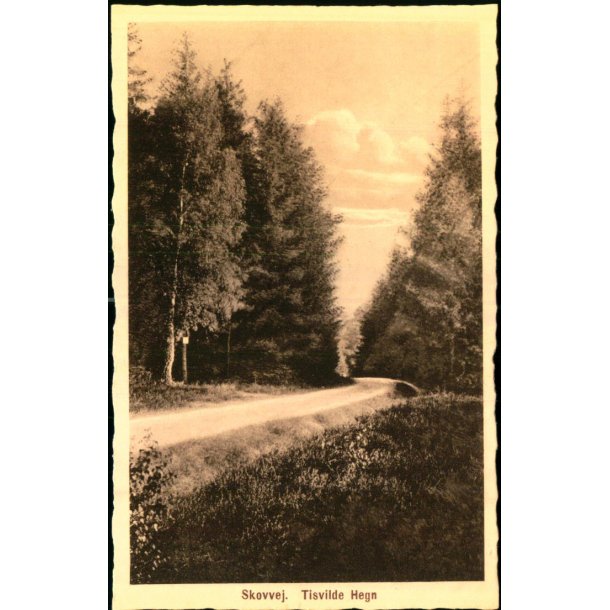 Skovvej - Tisvilde Hegn - S. Nielsen 47181 - Ubrugt
