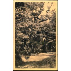 Jgerspris - Kongeegen - Nordskoven - Rudolf Olsen 229 - Ubrugt