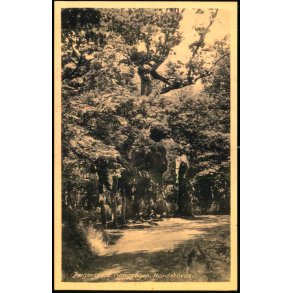 Jgerspris - Kongeegen - Nordskoven - Rudolf Olsen 229 - Ubrugt