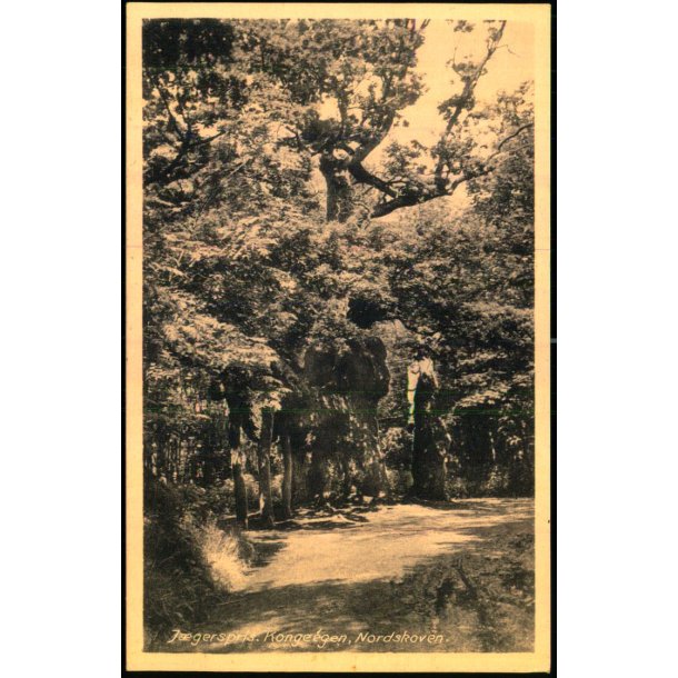 Jgerspris - Kongeegen - Nordskoven - Rudolf Olsen 229 - Ubrugt