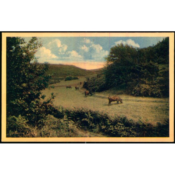 Mols - Haalen - Kai Elle - 4615 - Ubrugt