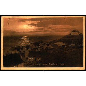 Udsigt over Tisvilde Leje - Albert Jensens Bogh. 8006 - Brugt