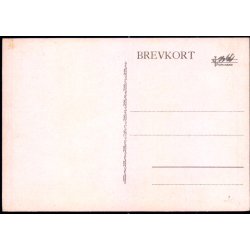 Kbenhavn - Raadhuset set fra Tivoli  - Illums u/n