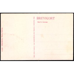 Odense - Parti ved Aaen - Stender 16370 b - Ubrugt