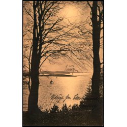 Udsigt fra Christiansminde mod Taasinge - W&M 910/18 - Brugt