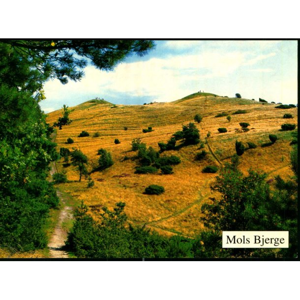Mols Bjerge - Trojaborg EB 26 - Brugt