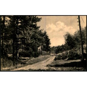 Vinder�d Skov - Fasanvej - Kbm. H. Randskov 14487 - Brugt