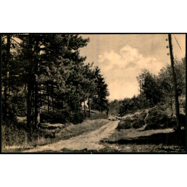 Vinder�d Skov - Fasanvej - Kbm. H. Randskov 14487 - Brugt