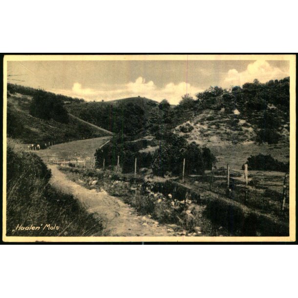 Mols - Haalen - Kai Elle -  87341 - Brugt