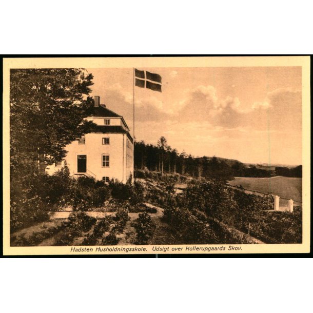 Hadsten Husholdningsskole - Udsigt over Kollerupgaards Skov - Chr. Petersens Kunstforlag 11 - Ubrugt
