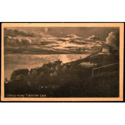 Udsigt over Tisvilde Leje - Albert Jensens Bogh. 8006 - Brugt