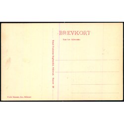 Bangs H�j - Tisvilde Hegn - K. Poulsen Bogh. 29 - Ubrugt