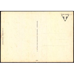 Domkirken - K�benhavn - Top Card 6301