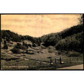 Vinder�d Skov - Hjortebjerg - Kbm. H. Randskov 14490 - Ubrugt