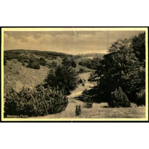 Mols - Haalen - Kai Elle -  89394 - Ubrugt