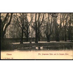 Odense - Frk. J�rgensens Skole, set fra Kongens Have - C. St. 282 - Brugt