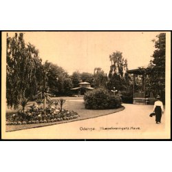 Odense - I L�seforeningens Have - Stender u/n - Ubrugt