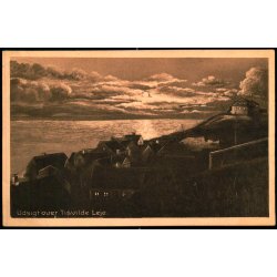 Udsigt over Tisvilde Leje - Albert Jensens Bogh. 8006 - Brugt