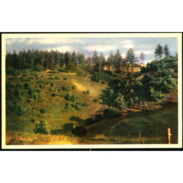 Tinghulen - Mols - Kaj Elle 52507 - Ubrugt