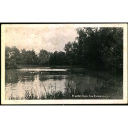 Maribo - Parti fra Trekanten - Stender M. 88 - Ubrugt