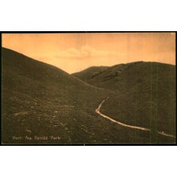 Parti fra Rebild Park - Overgaard 40886 - Ubrugt