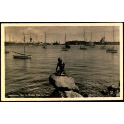 K�benhavn - Parti fra Reden med Havfruen - Alex Vincent 464