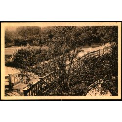 Parti fra Oreby Have - Thaarning Steffensens Bogh. 50685 - Ubrugt