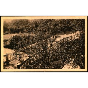 Parti fra Oreby Have - Thaarning Steffensens Bogh. 50685 - Ubrugt