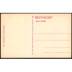 Kbenhavn - Fra Langelinie - Stender 2261