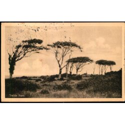 Trelde N�s - Rekreationshejmmet 54631 - Brugt